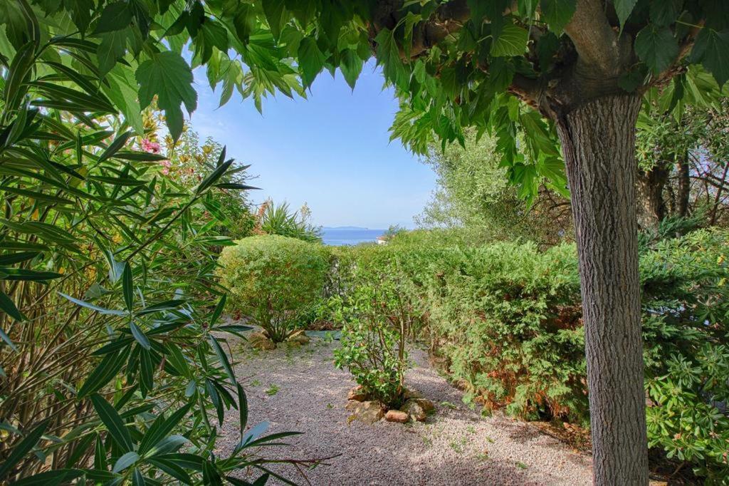 Apartment - Jardinet Prive - 5 Minutes Des Plages Sanguinaires - Ajaccio Ajaccio (Corsica)